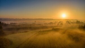 Poranna rutyna, która pomaga spokojnie rozpocząć dzień